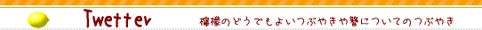 �c�C�b�^�[